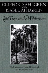 cover of the book Lob Trees in the Wilderness: The Human and Natural History of the Boundary Waters