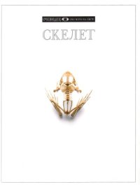 cover of the book Скелет