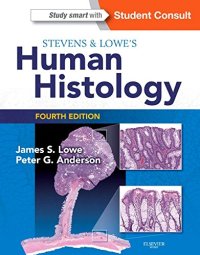 cover of the book Stevens & Lowe’s Human Histology