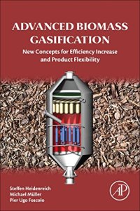 cover of the book Advanced Biomass Gasification. New Concepts for Efficiency Increase and Product Flexibility