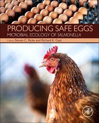 cover of the book Producing Safe Eggs. Microbial Ecology of Salmonella