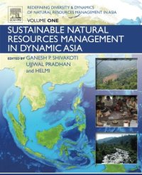 cover of the book Redefining Diversity & Dynamics of Natural Resources Management in Asia, Volume 1. Sustainable Natural Resources Management in Dynamic Asia