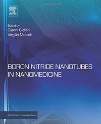 cover of the book Boron Nitride Nanotubes in Nanomedicine