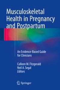 cover of the book Musculoskeletal Health in Pregnancy and Postpartum: An Evidence-Based Guide for Clinicians