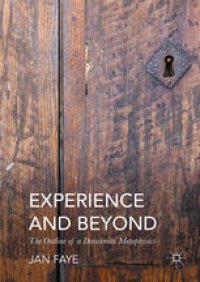 cover of the book Experience and Beyond: The Outline of a Darwinian Metaphysics