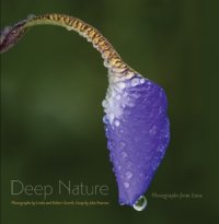 cover of the book Deep Nature  Photographs from Iowa