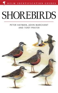 cover of the book Shore Birds