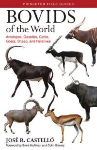 cover of the book Bovids of the World :  Antelopes, Gazelles, Cattle, Goats, Sheep, and Relatives