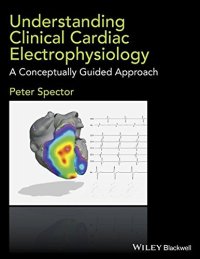 cover of the book Understanding Cardiac Electrophysiology: A Conceptually Guided Approach