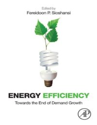 cover of the book Energy Efficiency  Towards the End of Demand Growth