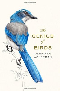 cover of the book The Genius of Birds