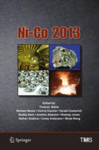 cover of the book Ni-Co 2013