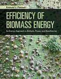 cover of the book Efficiency of biomass energy: an exergy approach to biofuels, power, and biorefineries