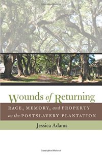 cover of the book Wounds of Returning: Race, Memory, and Property on the Postslavery Plantation