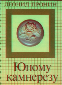 cover of the book Юному камнерезу