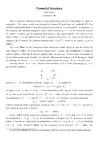 cover of the book Powerful functors [expository notes]