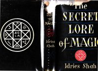 cover of the book The secret lore of magic