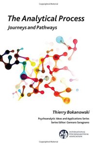 cover of the book The Analytical Process: Journeys and Pathways