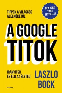 cover of the book A Google-titok - Tippek a világcég alelnökétől