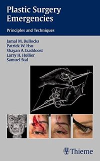 cover of the book Plastic surgery emergencies: principles and techniques