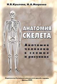 cover of the book Анатомия скелета. Анатомия человека в схемах и рисунках. Атлас-пособие