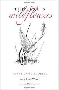 cover of the book Thoreau’s Wildflowers