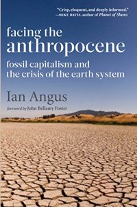 cover of the book Facing the Anthropocene: Fossil Capitalism and the Crisis of the Earth System