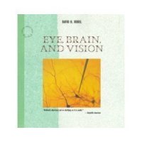 cover of the book Eye, Brain, and Vision