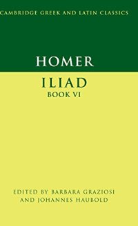 cover of the book Iliad Book VI