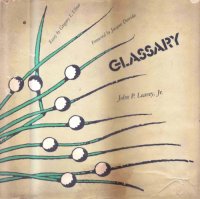 cover of the book Glassary