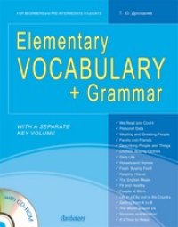 cover of the book Elementary Vocabulary + Grammar