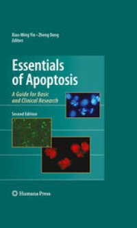 cover of the book Essentials of apoptosis: a guide for basic and clinical research