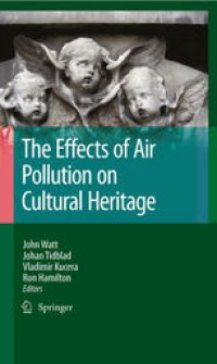 cover of the book The effects of air pollution on cultural heritage