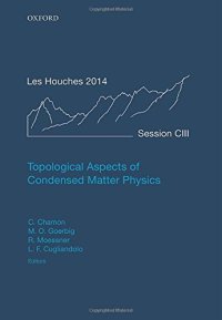 cover of the book Topological Aspects of Condensed Matter Physics