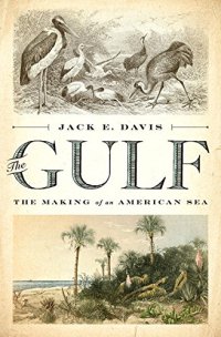 cover of the book The Gulf: The Making of An American Sea