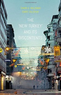 cover of the book The New Turkey and its discontents