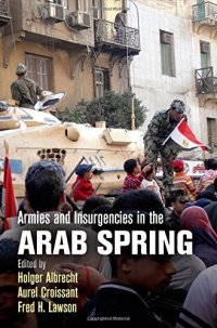 cover of the book Armies and Insurgencies in the Arab Spring