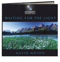 cover of the book Waiting for the Light