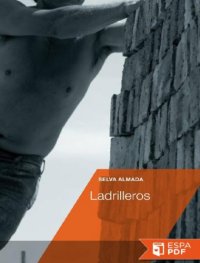 cover of the book Ladrilleros