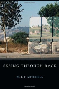 cover of the book Seeing Through Race