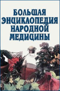 cover of the book Большая энциклопедия народной медицины.