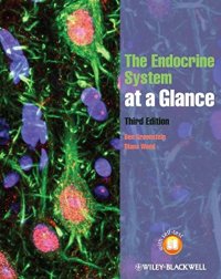 cover of the book The Endocrine System at a Glance