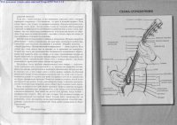 cover of the book Самоучитель игры на гитаре