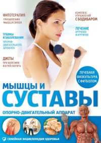 cover of the book Мышцы и суставы. Опорно-двигательный аппарат