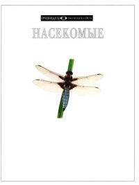 cover of the book Насекомые