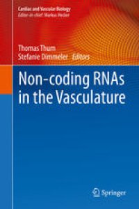 cover of the book Non-coding RNAs in the Vasculature