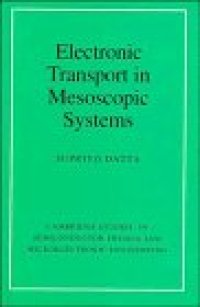 cover of the book Electronic transport in mesoscopic systems