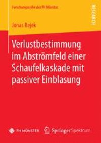 cover of the book Verlustbestimmung im Abströmfeld einer Schaufelkaskade mit passiver Einblasung