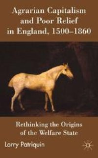 cover of the book Agrarian Capitalism and Poor Relief in England, 1500–1860: Rethinking the Origins of the Welfare State