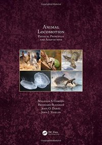 cover of the book Animal locomotion : physical principles and adaptations